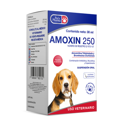 Amoxin Suspensión (amoxicilina + bromhexina)