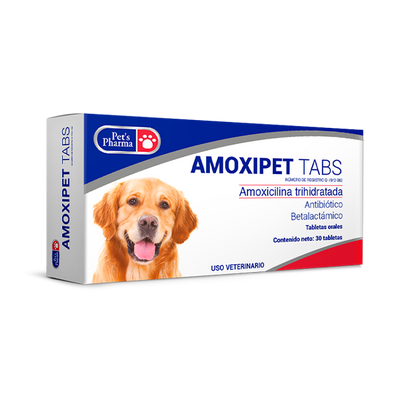 Amoxipet (amoxicilina sola)