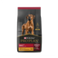 ProPlan Adulto Grande