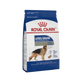 Royal Canin Adulto Grande