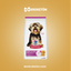 Hills Adulto Mini (Small Paws)