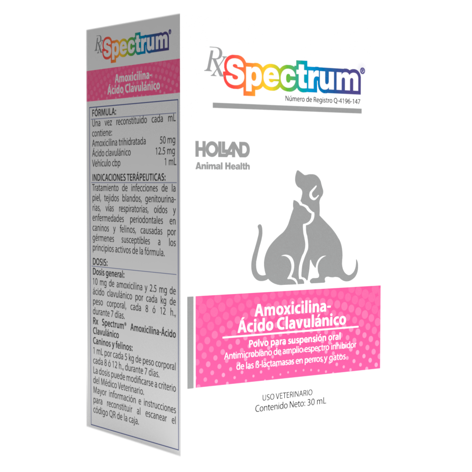 Rx Spectrum Amoxicilina-Ácido Clavulánico Suspensión