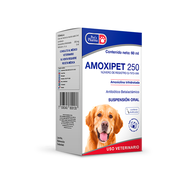 Amoxipet (amoxicilina sola)