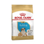 Royal Canin Bulldog Ingles Cachorro
