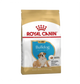 Royal Canin Bulldog Ingles Cachorro