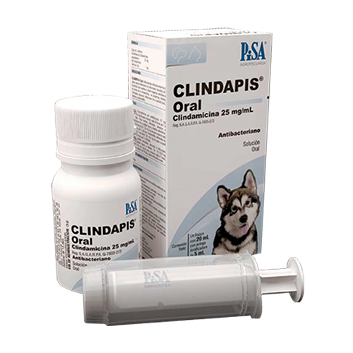 Clindapis