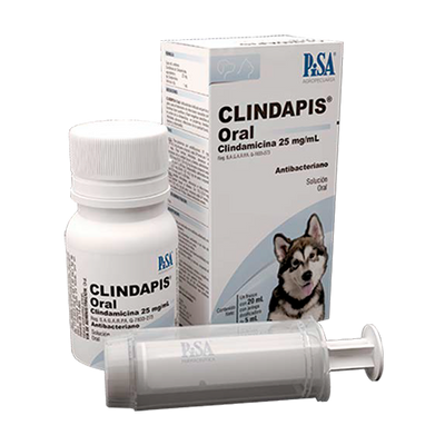 Clindapis