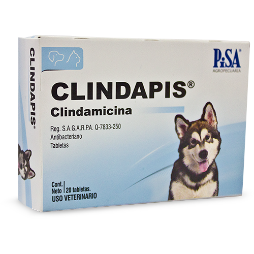 Clindapis