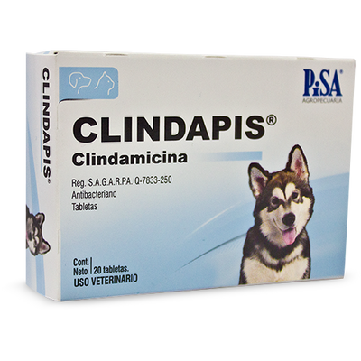 Clindapis