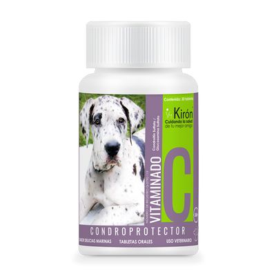Performance Condroprotector vitaminado