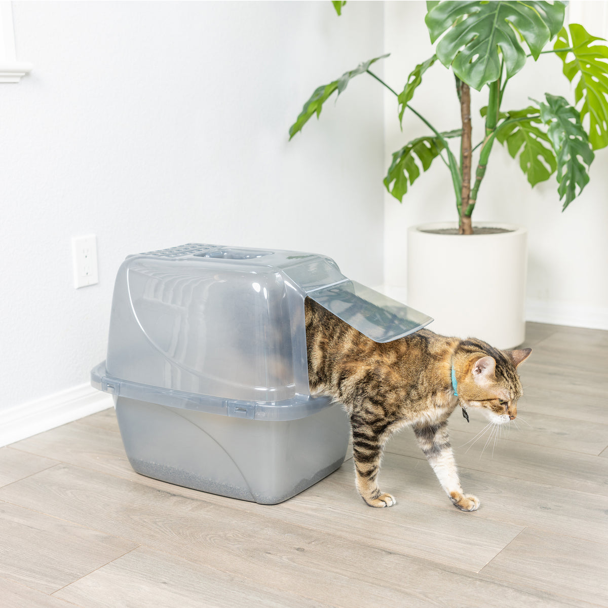 Van Ness Arenero Grande Traslucido Cubierto para Gato