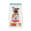 Hills Cachorro Raza Grande