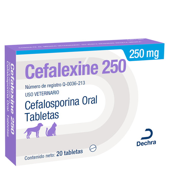 Cefalexine