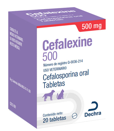 Cefalexine