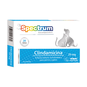 Rx Spectrum Clindamicina