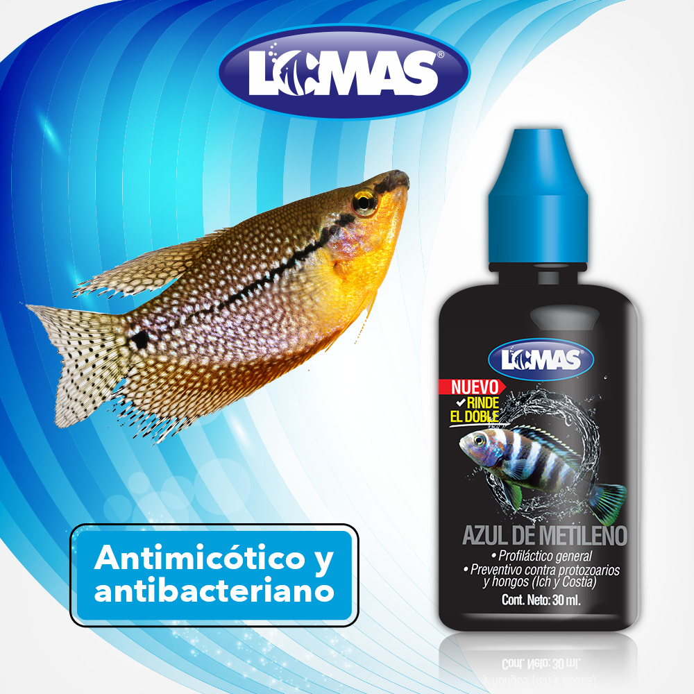 Lomas Azul de Metileno para Peces