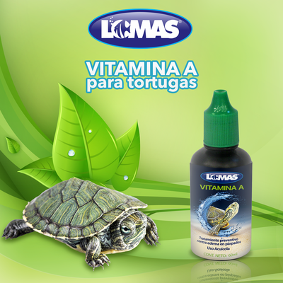 Lomas Vitamina A para Tortugas