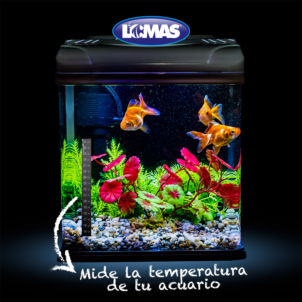 Chicos Termometro Externo en Blister para Peces