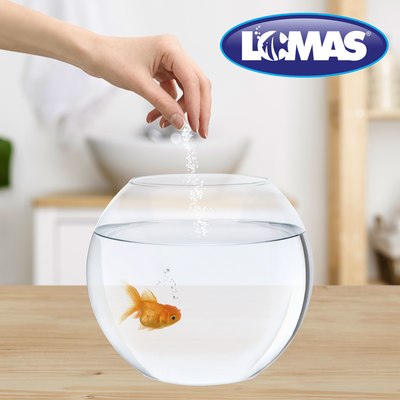 Lomas Sal para Acuario 300 g