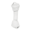 Lomas Carnaza Dental (10-13 cm) - 2 pz para Perro
