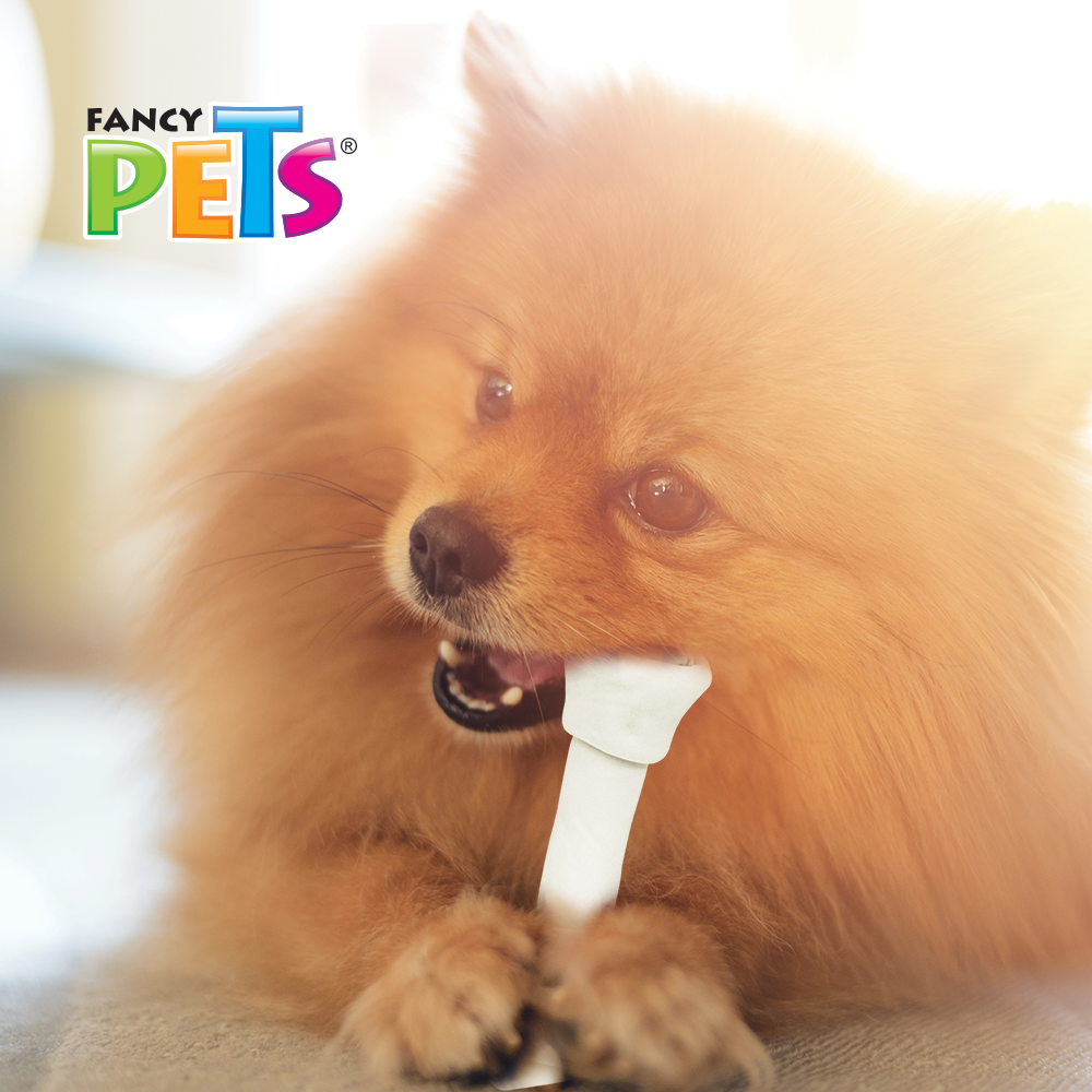Lomas Carnaza Dental (10-13 cm) - 2 pz para Perro