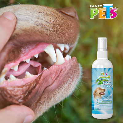 Lomas Spray Dental Ultra 125 ml para Perro