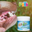 Lomas Toallitas Dentales - 80 pz para Perro