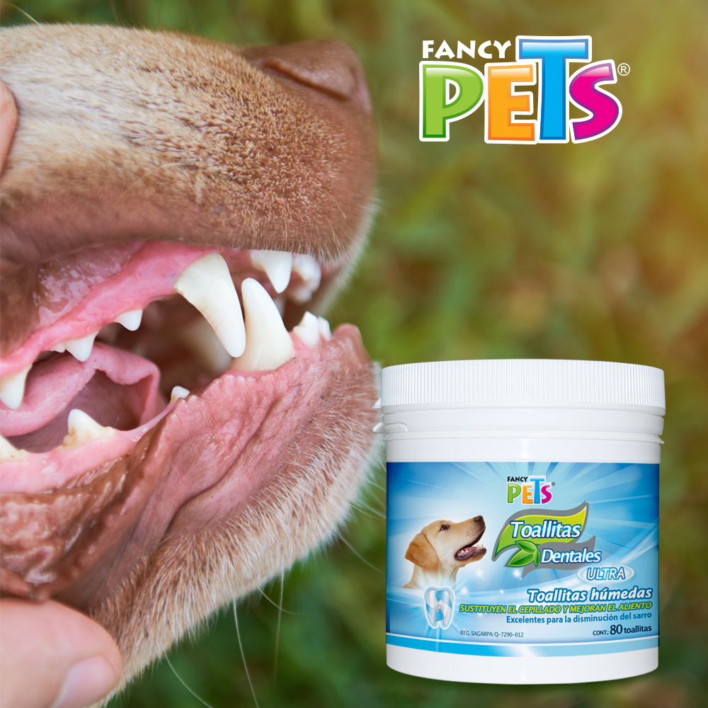 Lomas Toallitas Dentales - 80 pz para Perro