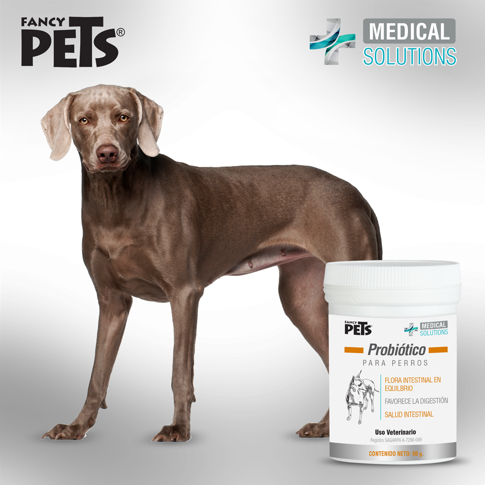 Lomas MS Probiotico para Perros 90 g