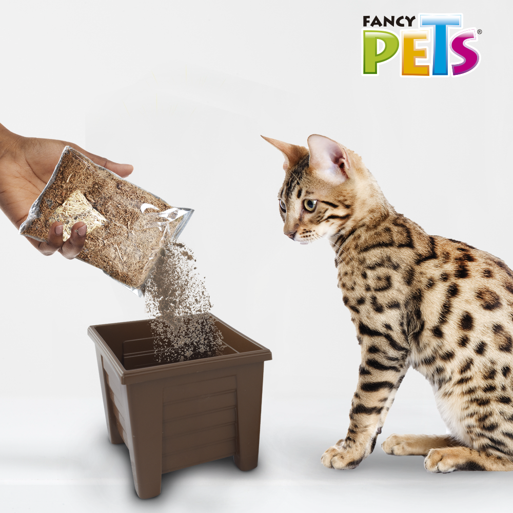 Lomas Pasto para Gato - Repuesto (Semillas y Sustrato)