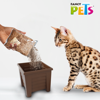 Lomas Pasto para Gato - Repuesto (Semillas y Sustrato)