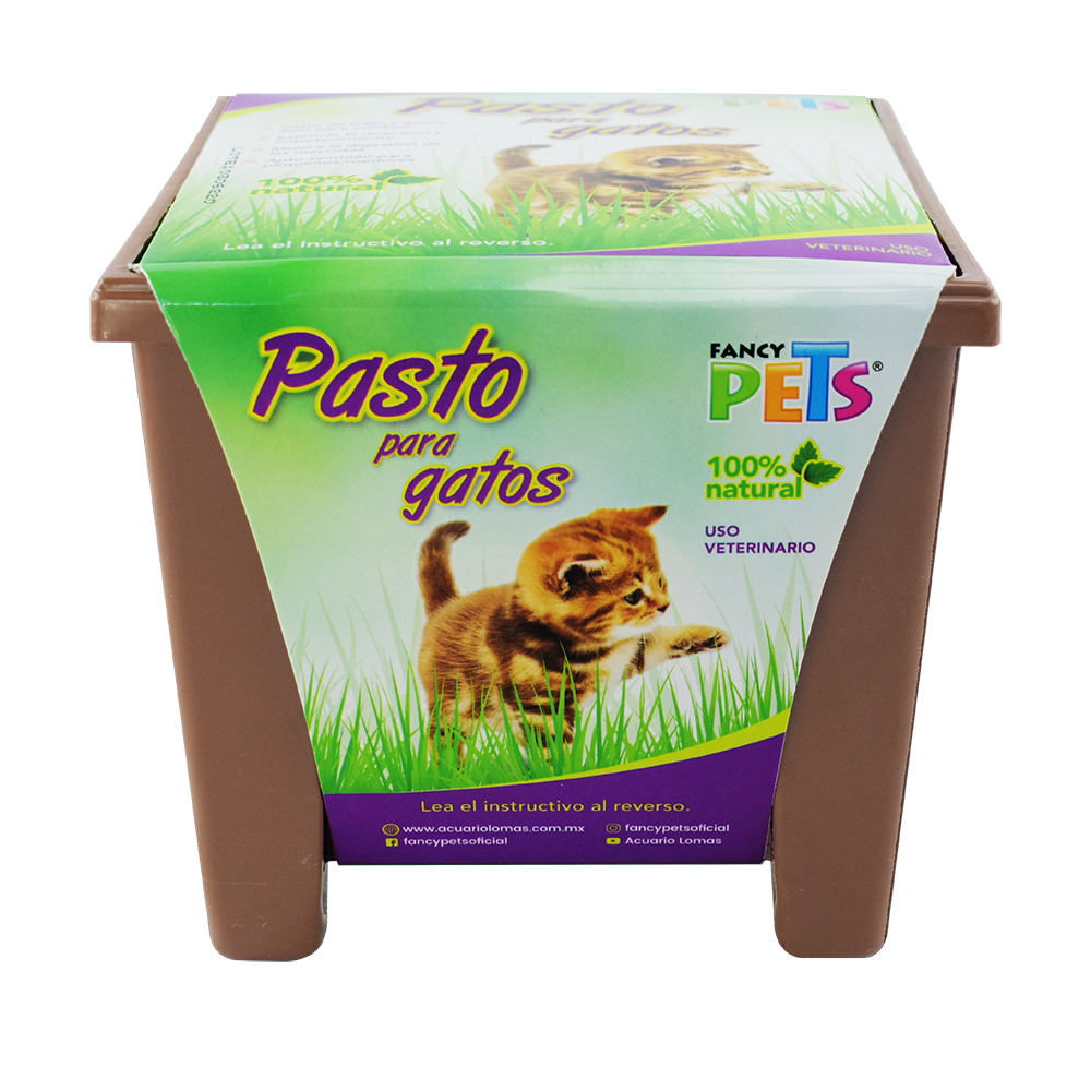 Lomas Pasto para Gatos