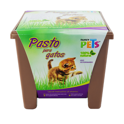 Lomas Pasto para Gatos