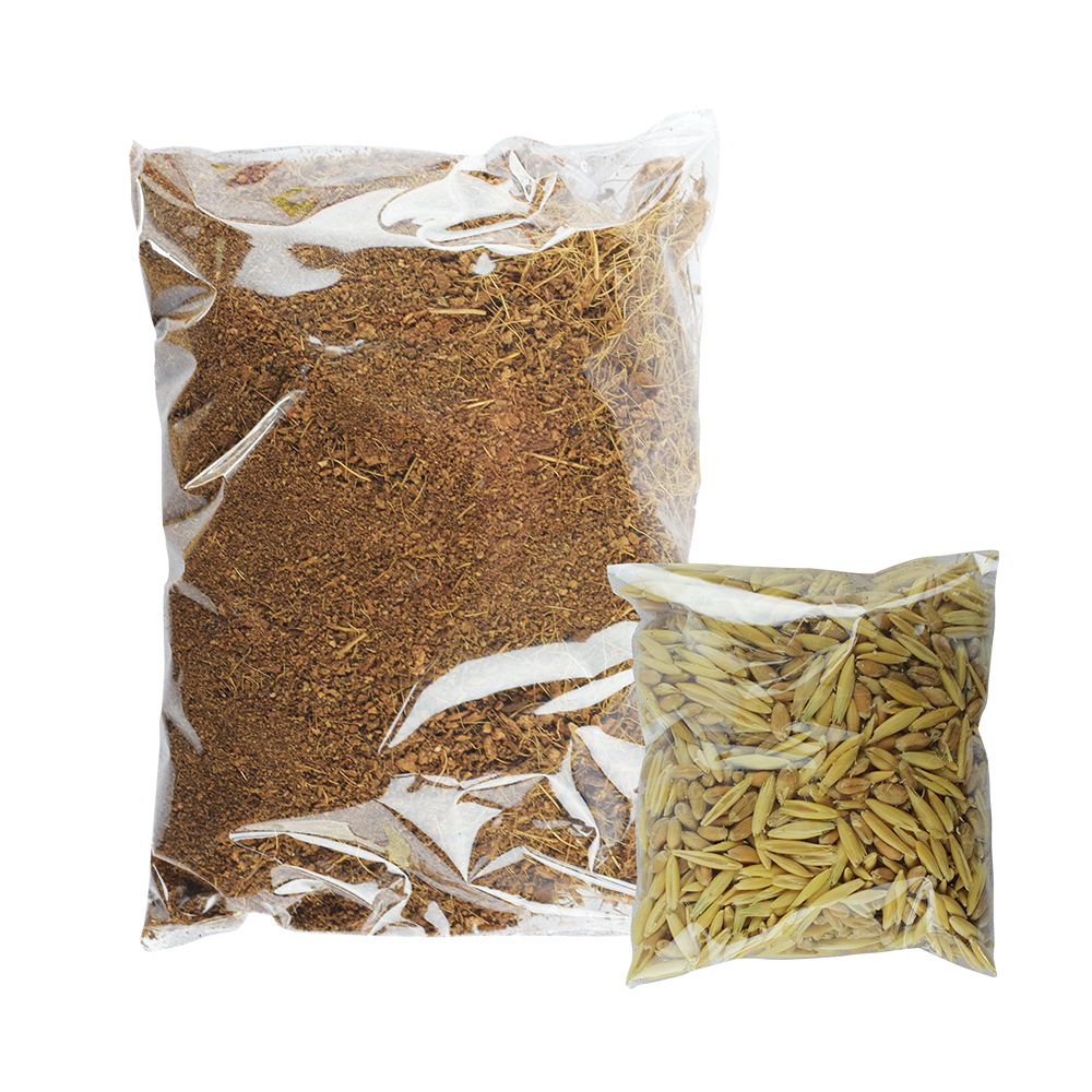 Lomas Pasto para Gatos