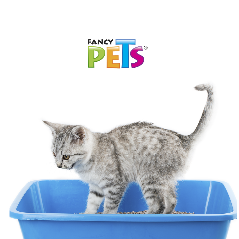 Lomas Arena para Gato