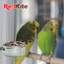 Kumar Taza de Acero con Abrazadera 10 oz para Aves