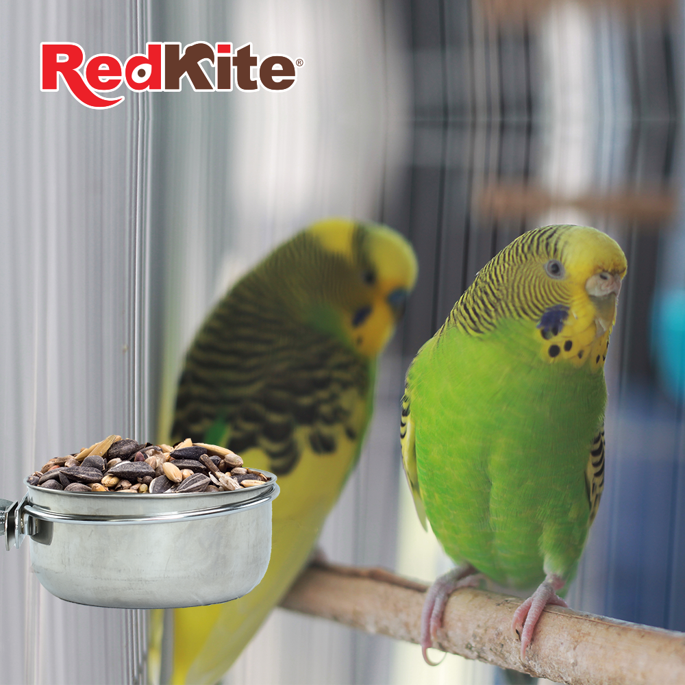 Kumar Taza de Acero con Abrazadera 10 oz para Aves