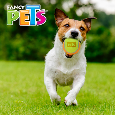 Yangs Juguete Pelota de Tenis Bicolor para Perro