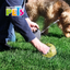 Yangs Bolsas Sanitarias Fancy Pets para Perro