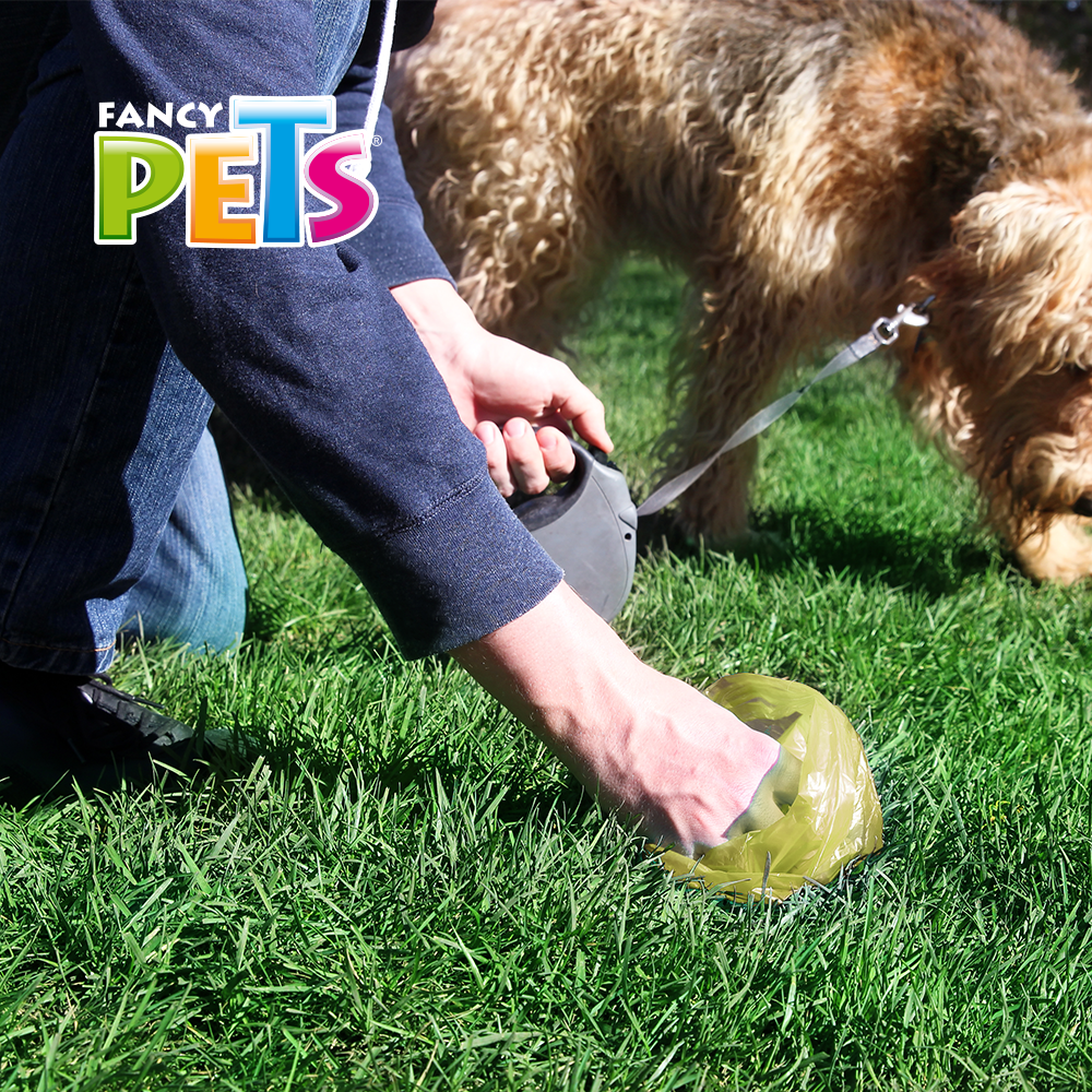 Yangs Bolsas Sanitarias Fancy Pets para Perro
