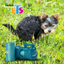 Yangs Dispensador con Bolsas Sanitarias Dry Pet - 40 pz para Perro