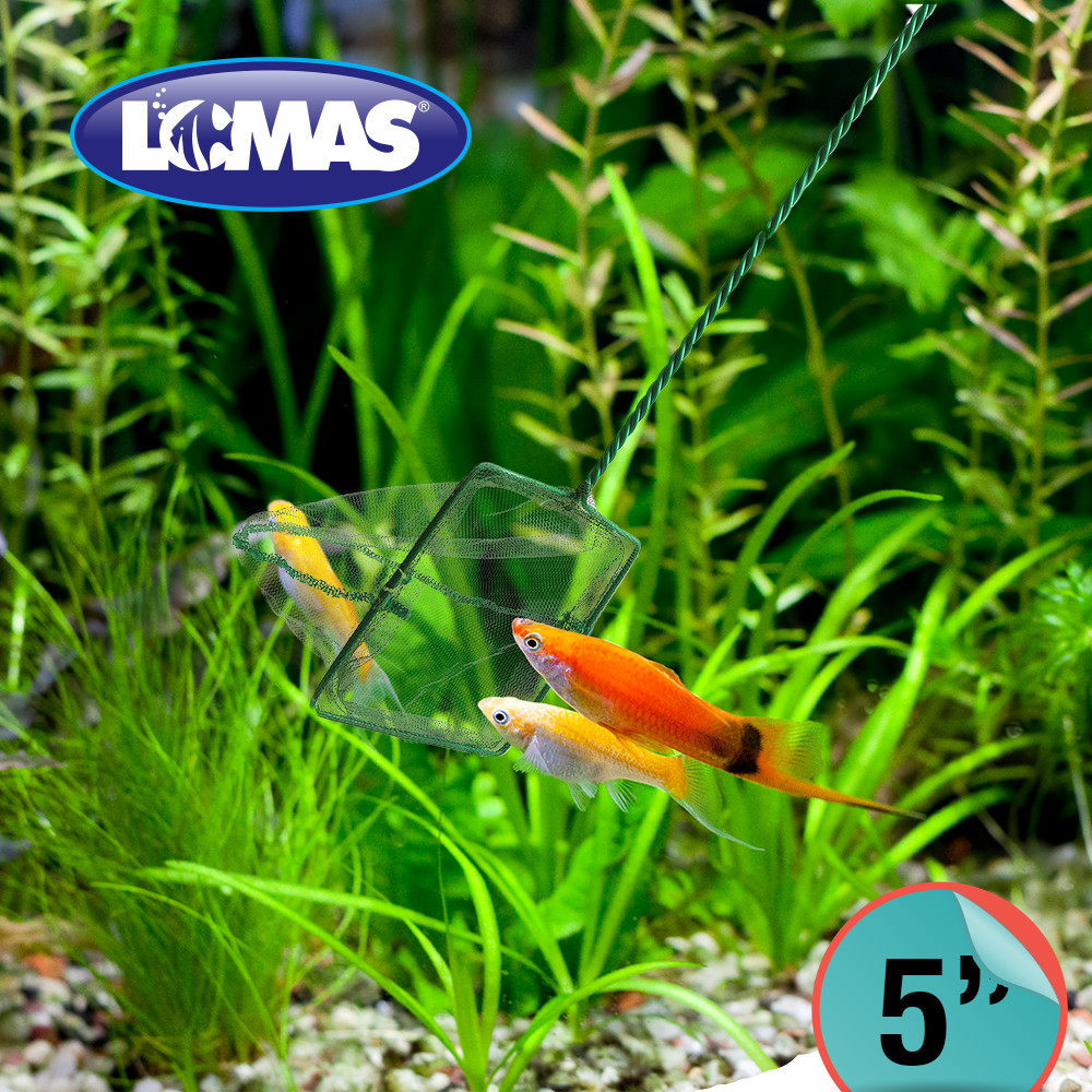 Chicos Red de Malla Gruesa para Peces