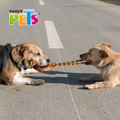 Hengli Juguete Jaladera con Pelota Pal Thread para Perro