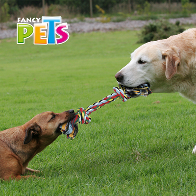 Hengli Juguete Hueso Grande de Hilo Multicolor Pal Thread para Perro