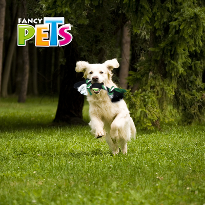 Hengli Juguete Hueso de Hilo con Pelota de Tenis Pal Thread para Perro