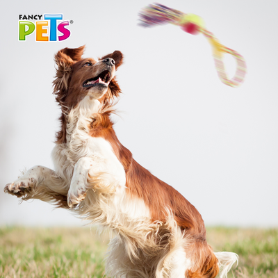 Hengli Juguete Aro con Pelota y Nudo Pal Thread para Perro