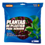 Chicos Planta para Acuario