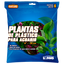 Chicos Planta para Acuario
