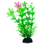 Chicos Planta para Acuario