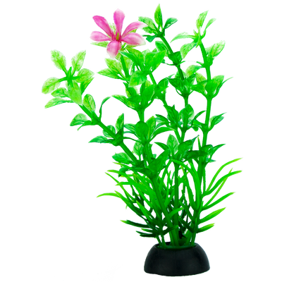 Chicos Planta para Acuario
